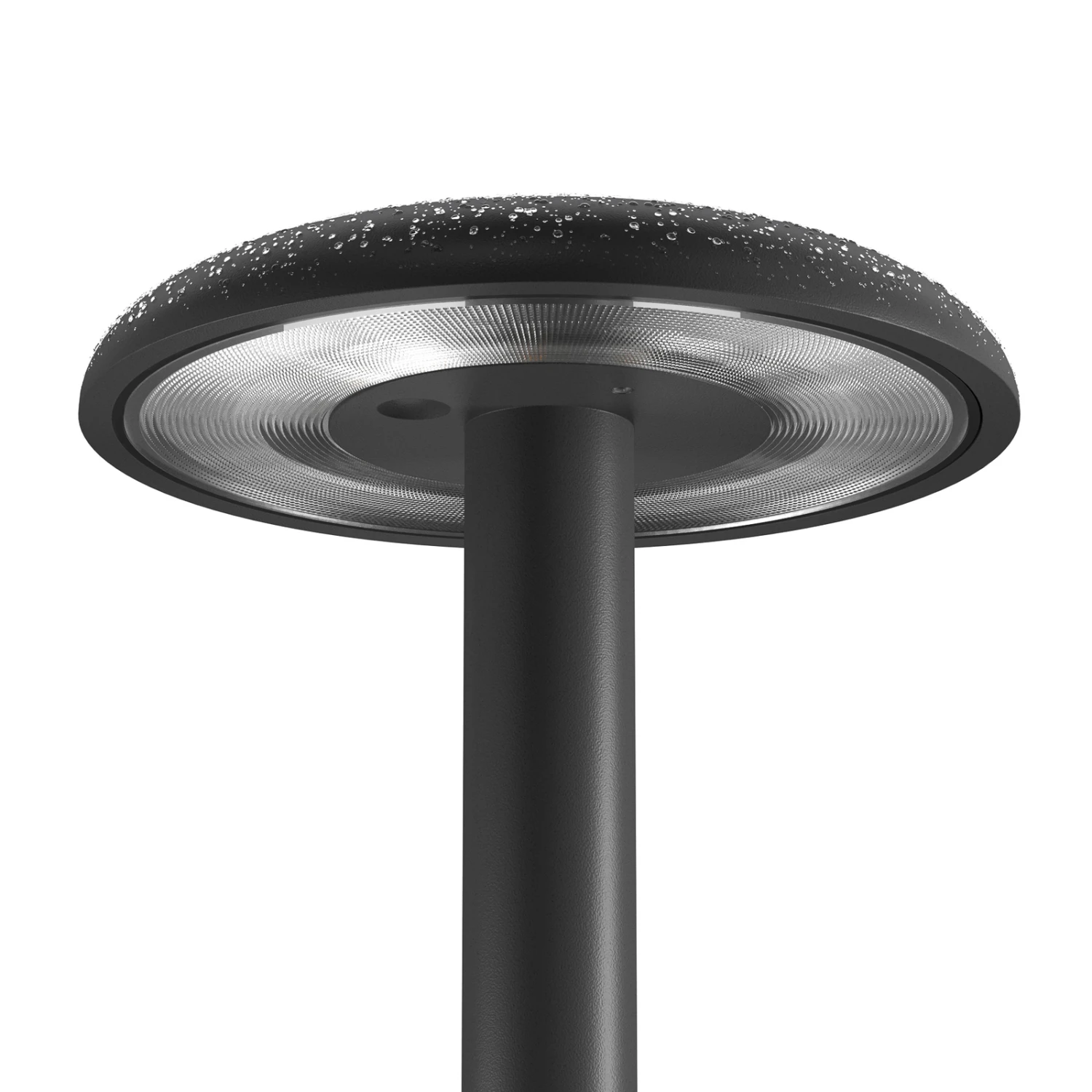 FLOS Gustave LED-Tischleuchte, Akku 927 schwarz FLOS Gustave LED-Tischleuchte, Akku 927 Schwarz -FLOS 10015346 2