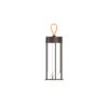 FLOS In Vitro Unplugged LED-Leuchte Braun 3000K -FLOS 3510780