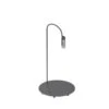 FLOS Caule Floor 2 Nest Stehlampe 2.700K Anthrazit -FLOS 3510884
